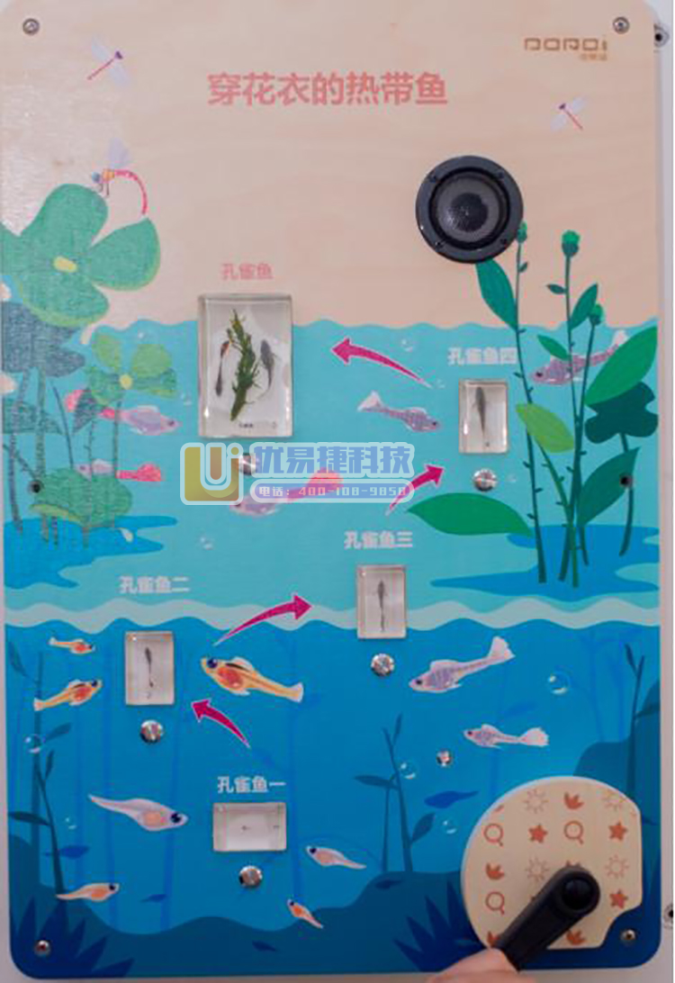 洺译 002 生命科技墙面玩具-- 穿花衣的热带鱼