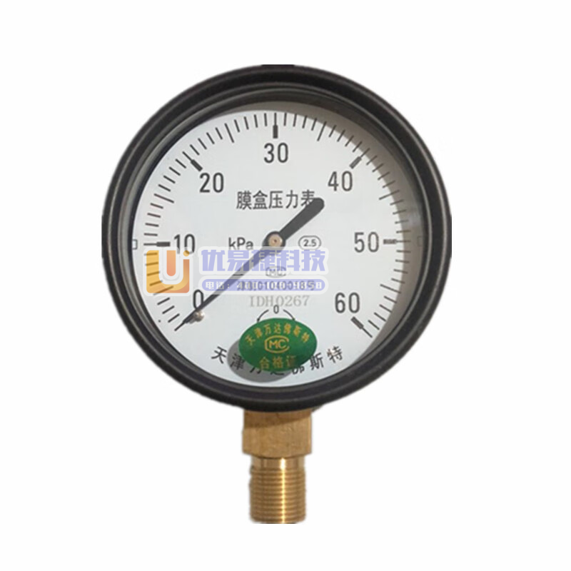万达佛斯特 YE-100 x 60 天津径向膜盒压力表微...