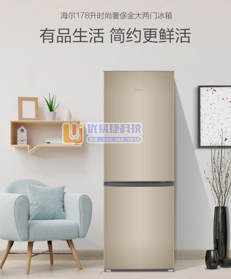 海尔（Haier） BCD-178TMPT 178升两门...
