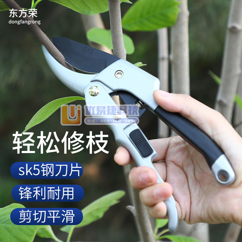 东方荣（DONGFANGRONG） 果树剪刀修枝剪枝剪 ...