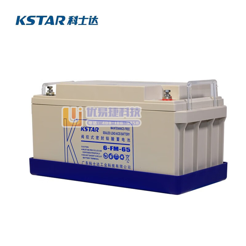 科士达UPS蓄电池 6-FM-65 12V65AH铅酸免...