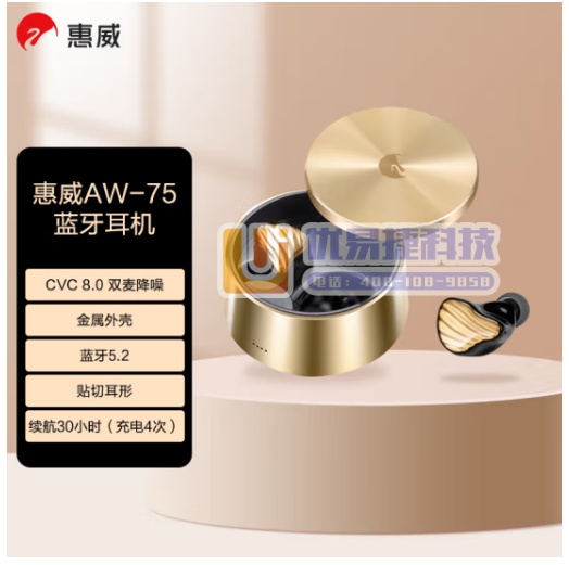 惠威（HiVi）AW-75 无线蓝牙耳机 真无线HiFi...