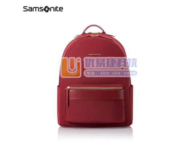 新秀丽（Samsonite）双肩包电脑包13英寸女背包学...