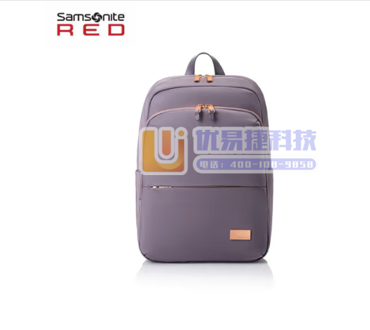 新秀丽（Samsonite）双肩电脑包14英寸女背包书包...